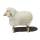 Schafe in Lebensgröße von Meier Germany Klein (60 cm) weißes Fell, gelockt