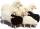 Schafe in Lebensgröße von Meier Germany Lamm (45 cm) weißes Fell, gelockt